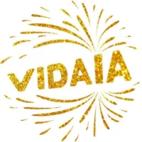 BATUCADA VIDAIA