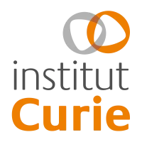 Institut Curie